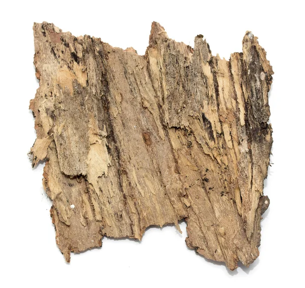 Stub log bark with wooden texture — Stock Photo, Image