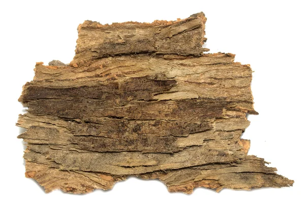 Stub corteza de tronco con textura de madera —  Fotos de Stock