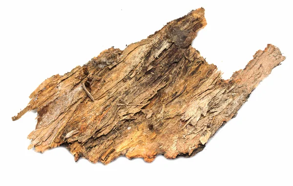 Bark log Stub com textura de madeira — Fotografia de Stock