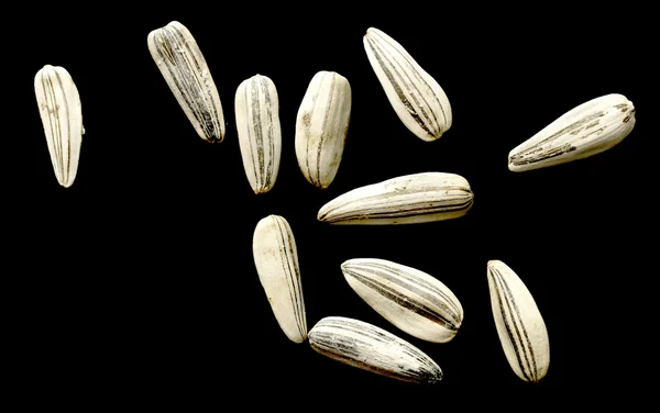 ブラックにホワイトのヒマワリ種子 — ストック写真
