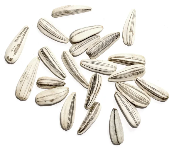 Dry sunflower seeds — Stock Photo, Image