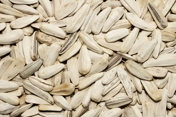 Dry sunflower seeds — Stock Photo, Image