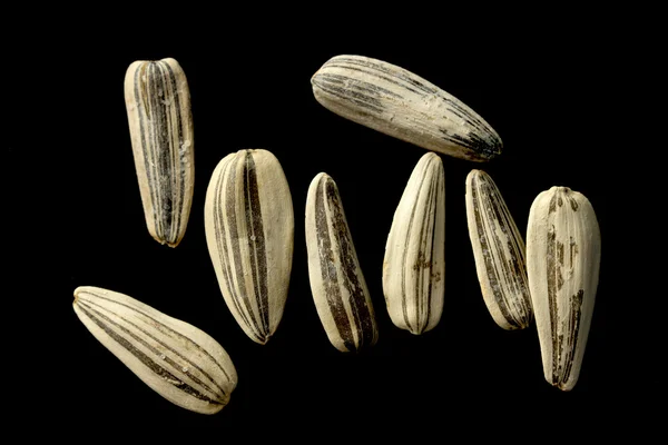 Bílá slunečnice semena na černém pozadí — Stock fotografie