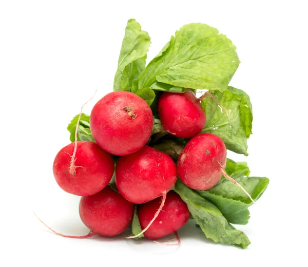 Rábano rojo con hojas verdes — Foto de Stock