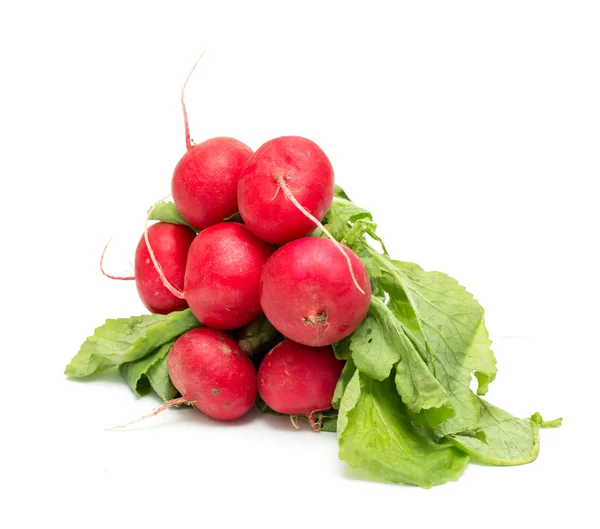 Red radish with green leaves — Stock Photo, Image