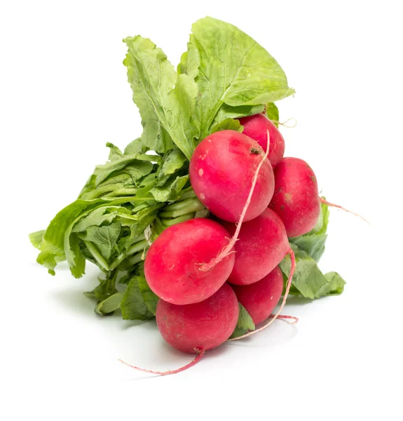 Red radish with green leaves — Stock Photo, Image