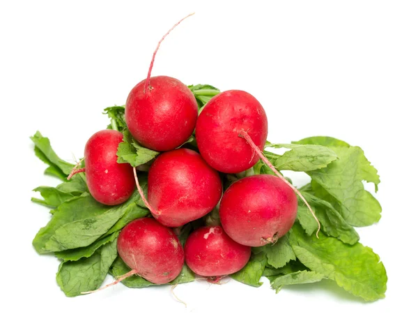 Red radish with green leaves — Stock Photo, Image