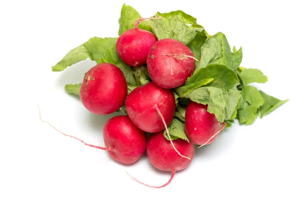Red radish with green leaves — Stock Photo, Image