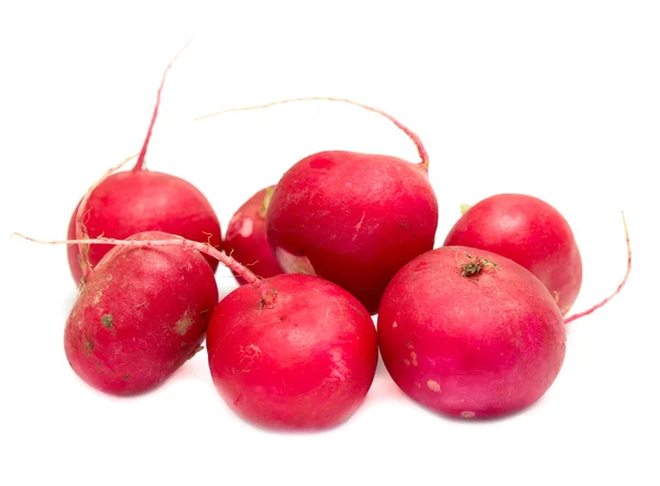 Röda rädisor på en vit — Stockfoto