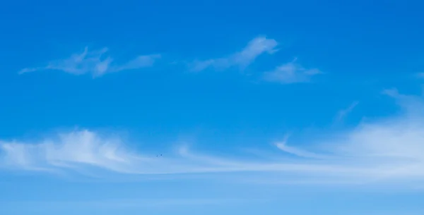 Cirrus clouds in sky — Stock Photo, Image