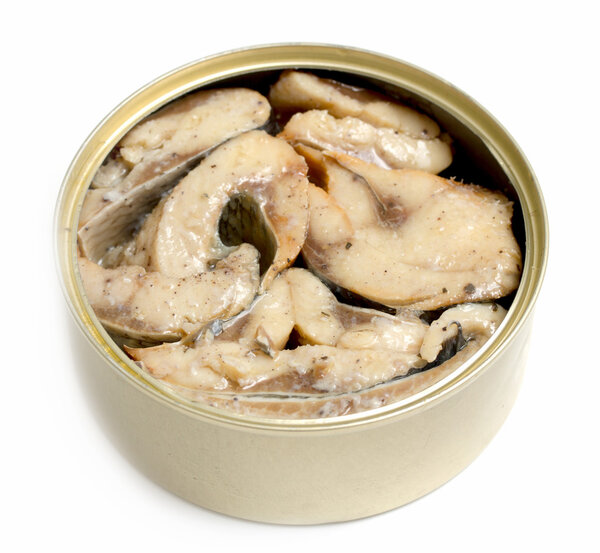 Fish in a tin isolated