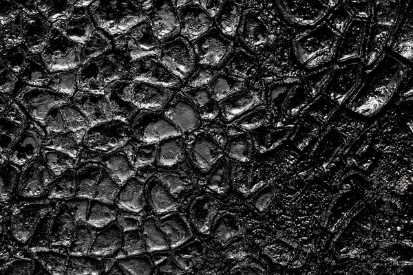 Surface of oil pollution — Stock Photo, Image