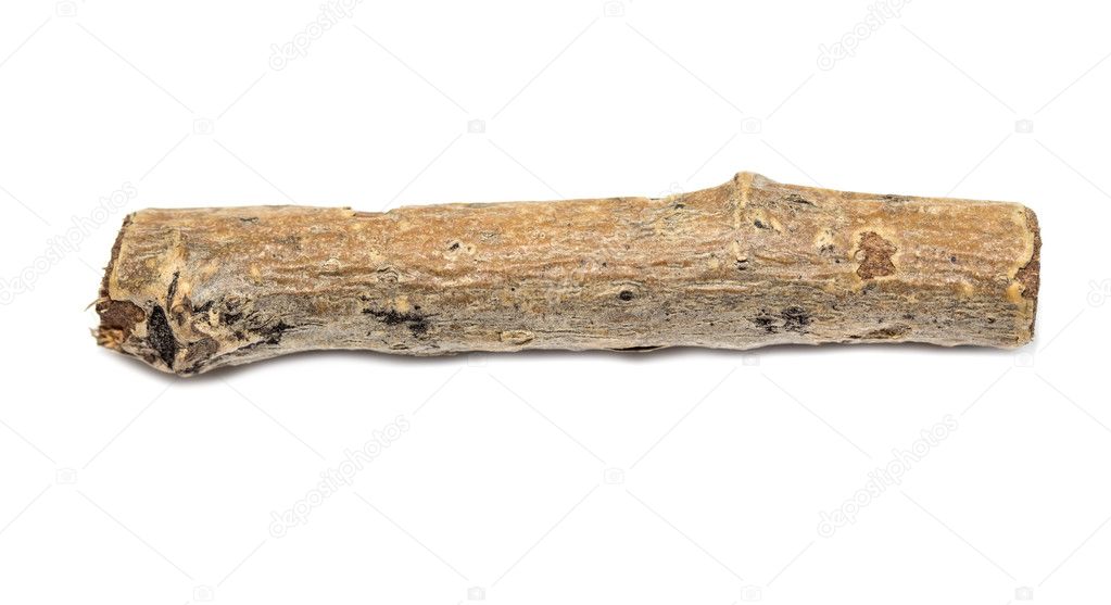 Wooden twig isolated