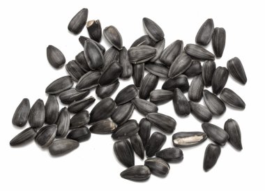 ayçiçeği tohumu yığını