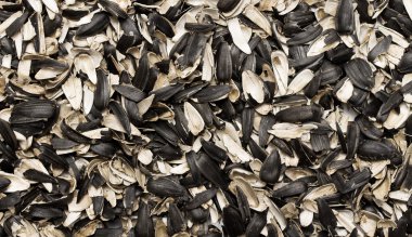 Ayçiçeği tohumu kabuğu