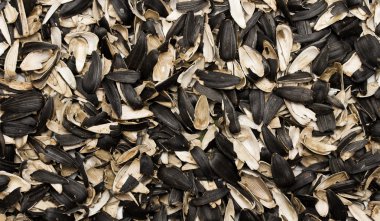 Ayçiçeği tohumu kabuğu