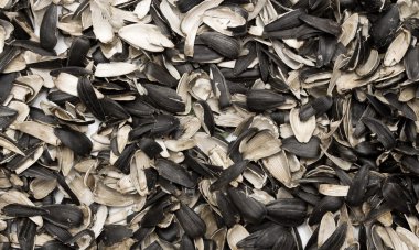 Ayçiçeği tohumu kabuğu