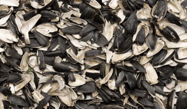 Ayçiçeği tohumu kabuğu