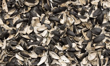 Ayçiçeği tohumu kabuğu