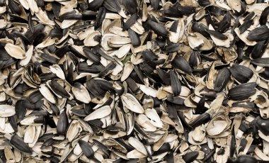 Ayçiçeği tohumu kabuğu