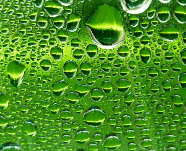 Su bardağa düşer.