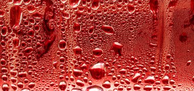 Su bardağa düşer.