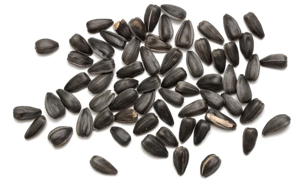 Pile of sunflower seeds — Stock Photo, Image