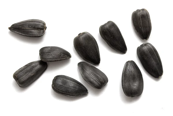 Pilha de sementes de girassol — Fotografia de Stock