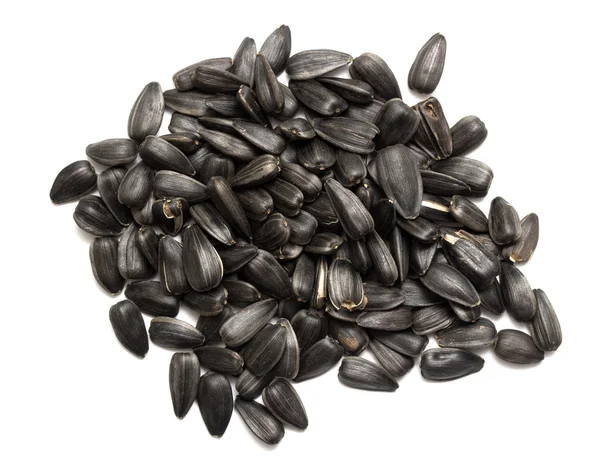 Pilha de sementes de girassol — Fotografia de Stock