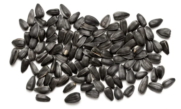 ayçiçeği tohumu yığını