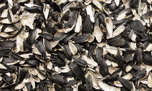 Ayçiçeği tohumu kabuğu