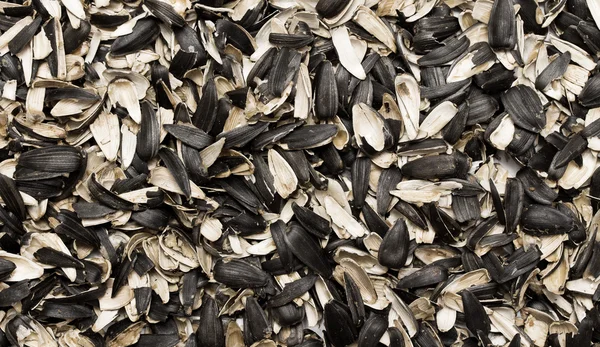 Ayçiçeği tohumu kabuğu