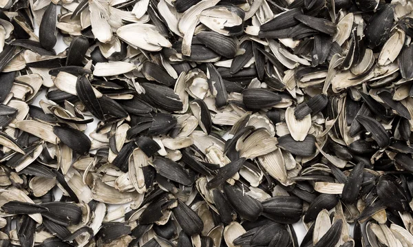 Ayçiçeği tohumu kabuğu