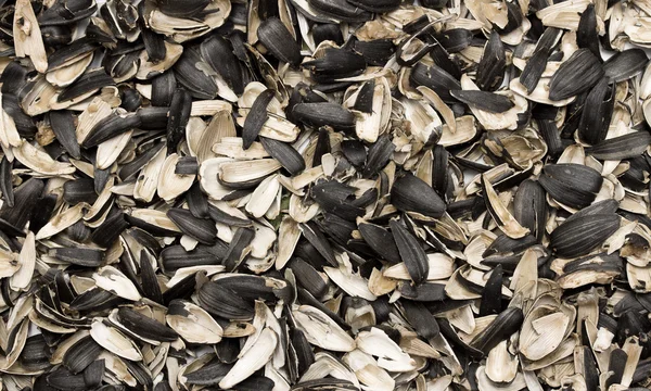 Ayçiçeği tohumu kabuğu