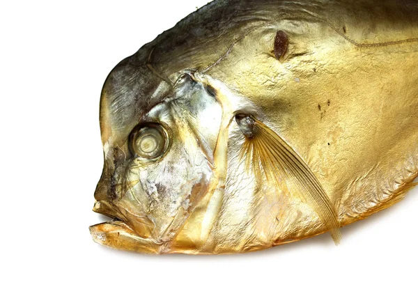 Kurutulmuş balık izole — Stok fotoğraf