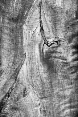 Ahşap doku kurullarının