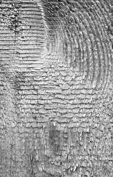 Texture en bois du panneau — Photo