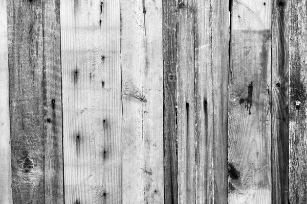 Texture en bois des planches — Photo