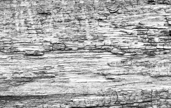 Texture en bois du panneau — Photo
