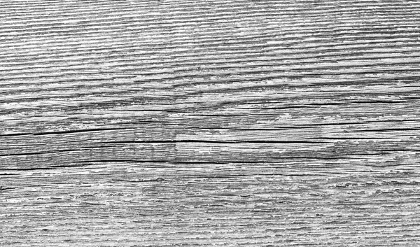 Texture en bois du panneau — Photo