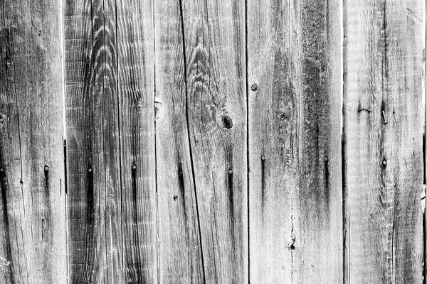 Texture en bois des planches — Photo