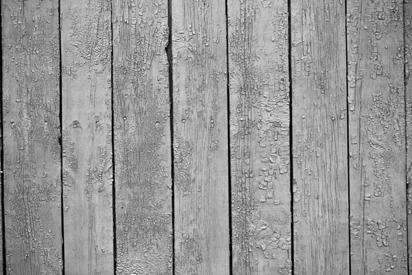 Texture en bois des planches — Photo