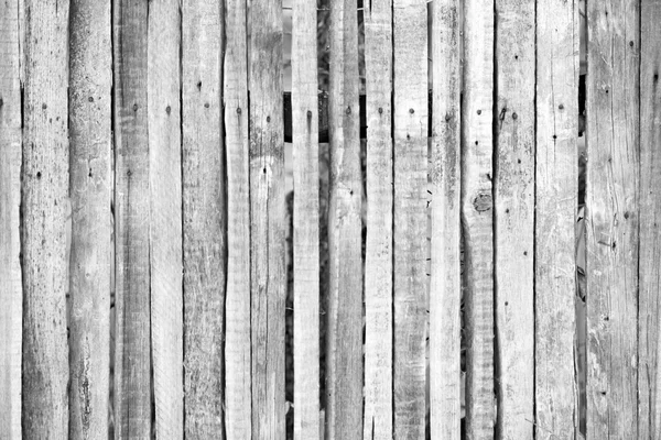 Texture en bois des planches — Photo