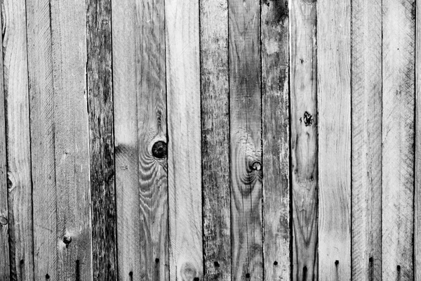 Texture en bois des planches — Photo