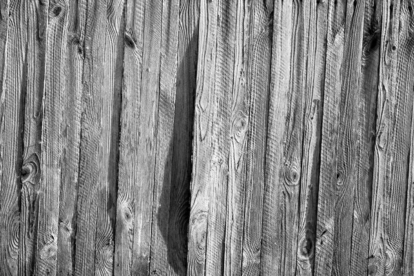 Texture en bois des planches — Photo