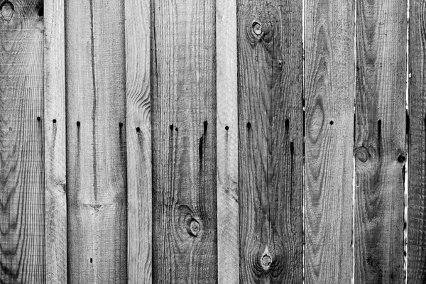 Texture en bois des planches — Photo