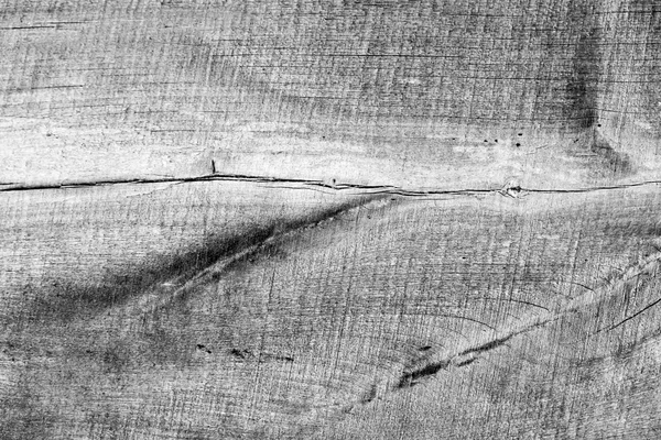 Texture en bois du panneau — Photo