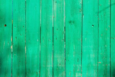 Yeşil boya ile çit