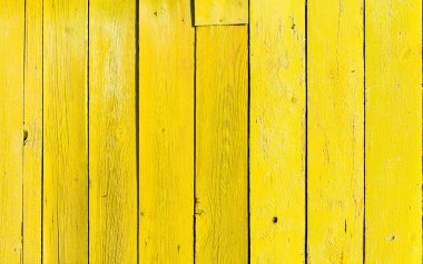 Sarı boya ile çit