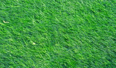Yeşil yapay çimen arkaplanı